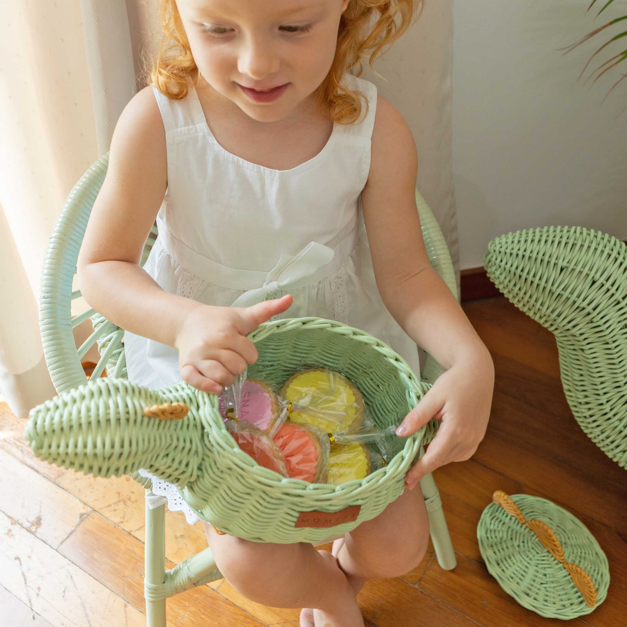 Small Dinosaur Rattan Basket