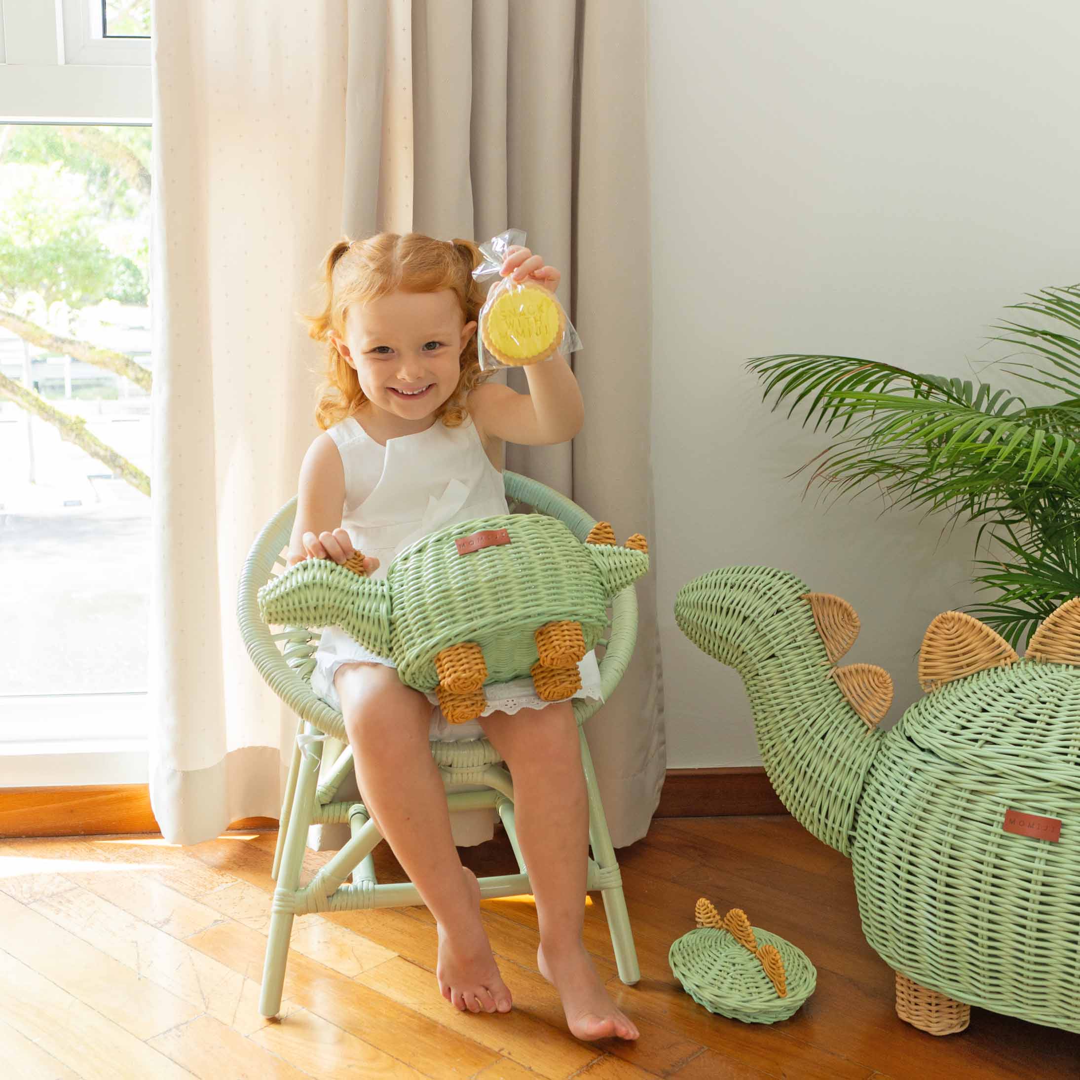 Small Dinosaur Rattan Basket
