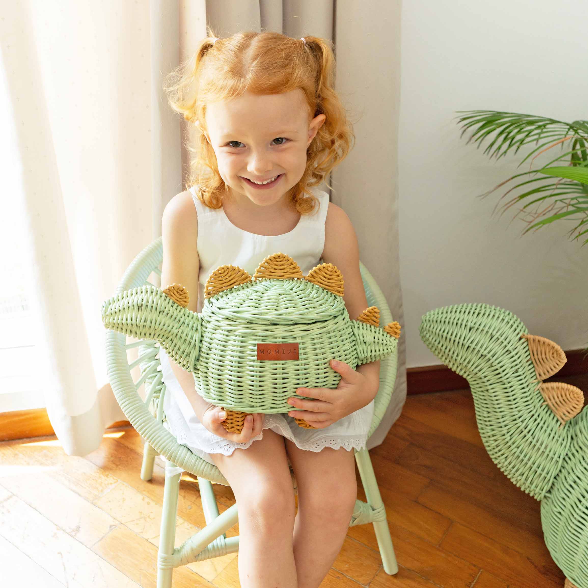 Small Dinosaur Rattan Basket