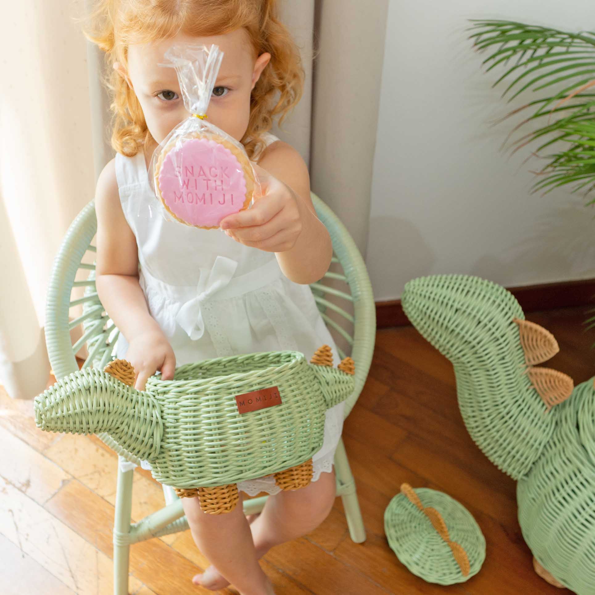Small Dinosaur Rattan Basket
