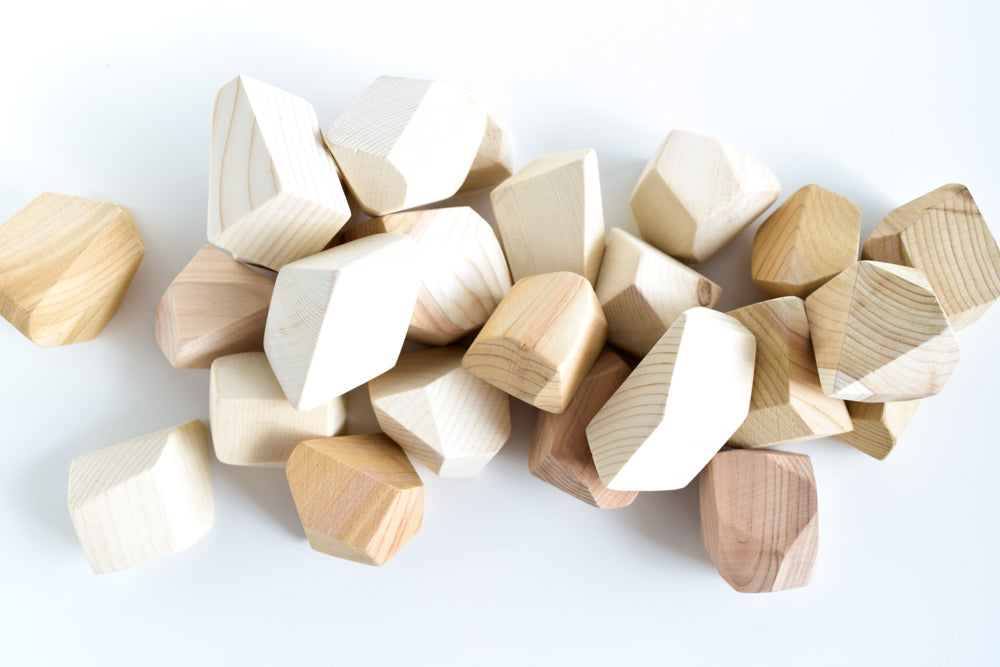 Natural Rock Blocks (Set of 24)