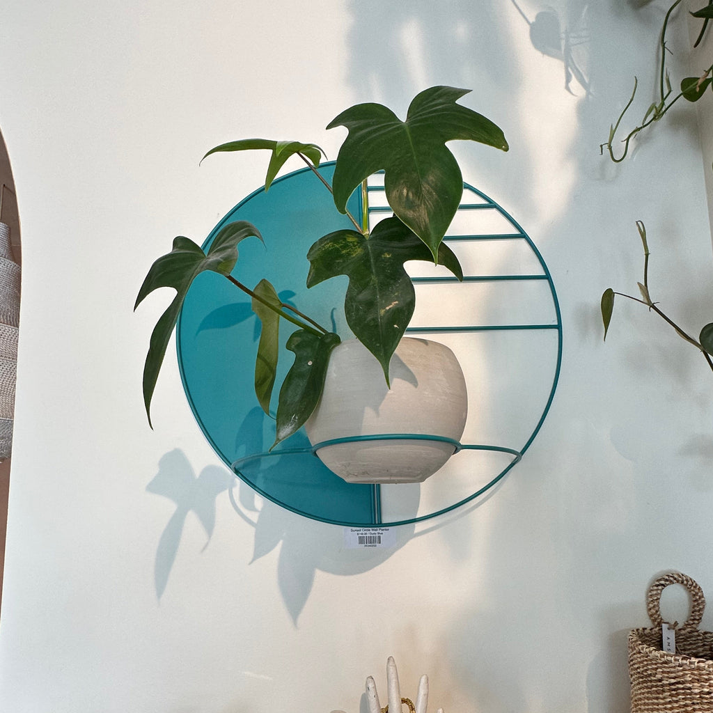 Sunset Circle Wall Planter