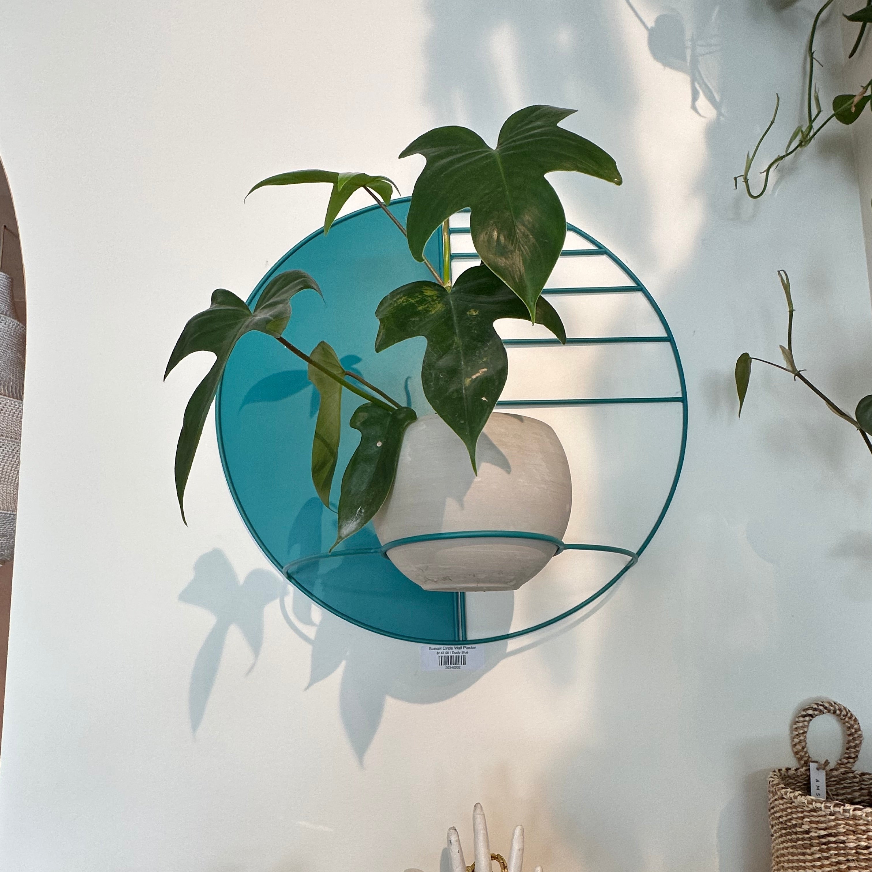 Sunset Circle Wall Planter